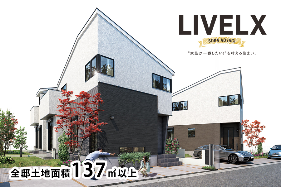 ライブレックス草加青柳 スタイリッシュモダン街区