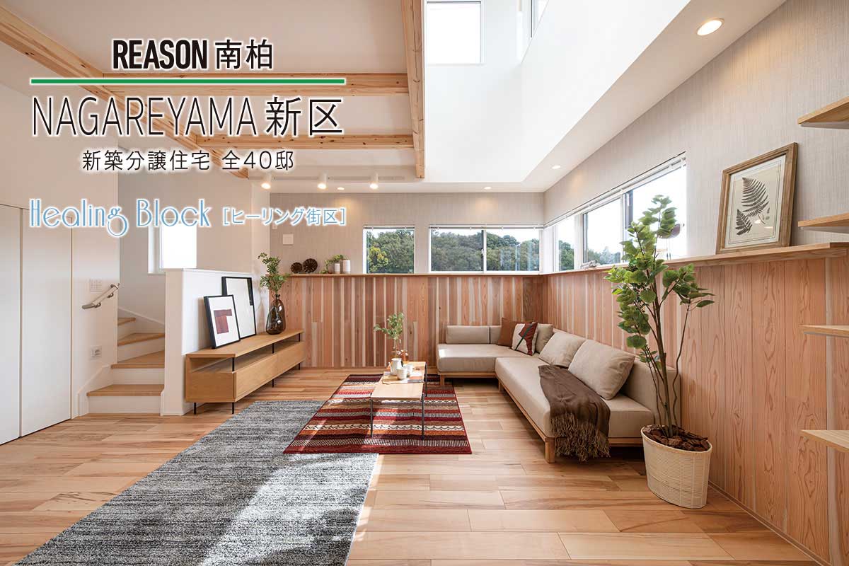 リーズン南柏 NAGAREYAMA新区