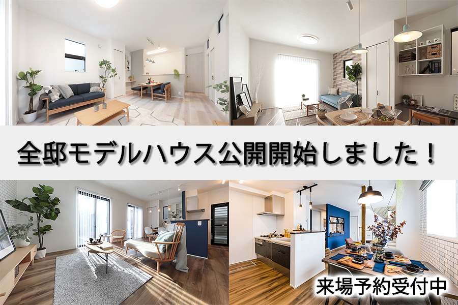 アイ ボクシーズ 豊春