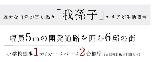 リーズン我孫子 ファンベース