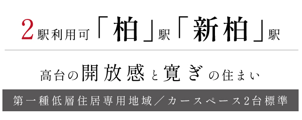 リーズン柏 高台と陽光のヴィラ