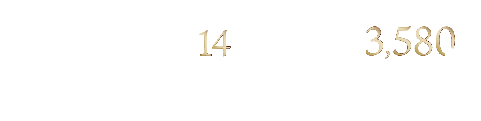 マチエ大和田 ヴィラ・ディ・ヴェント
