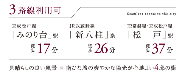 リーズン松戸・稔台 空景の街