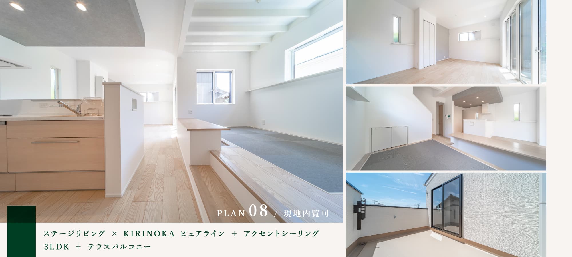 ※8号棟/2025年6月撮影