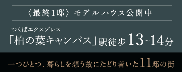 ザ・プルーヴ柏の葉キャンパス