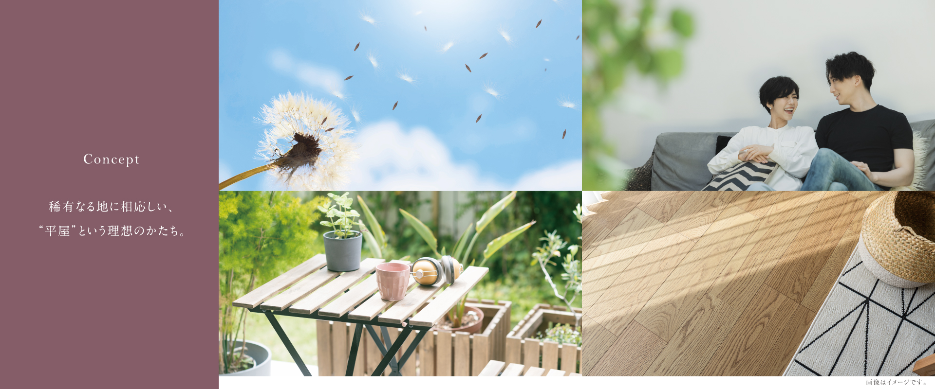 写真はイメージです