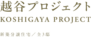 越谷プロジェクト(仮称)