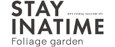 STAY INATIME-Foliage garden-