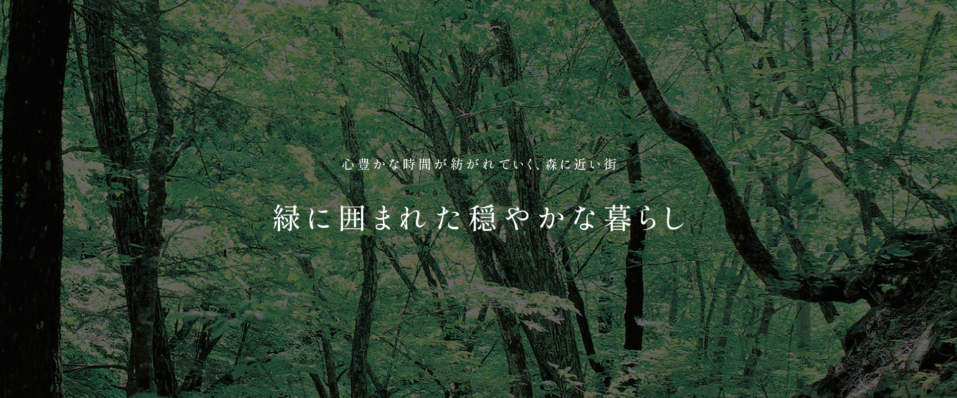 写真はイメージです。