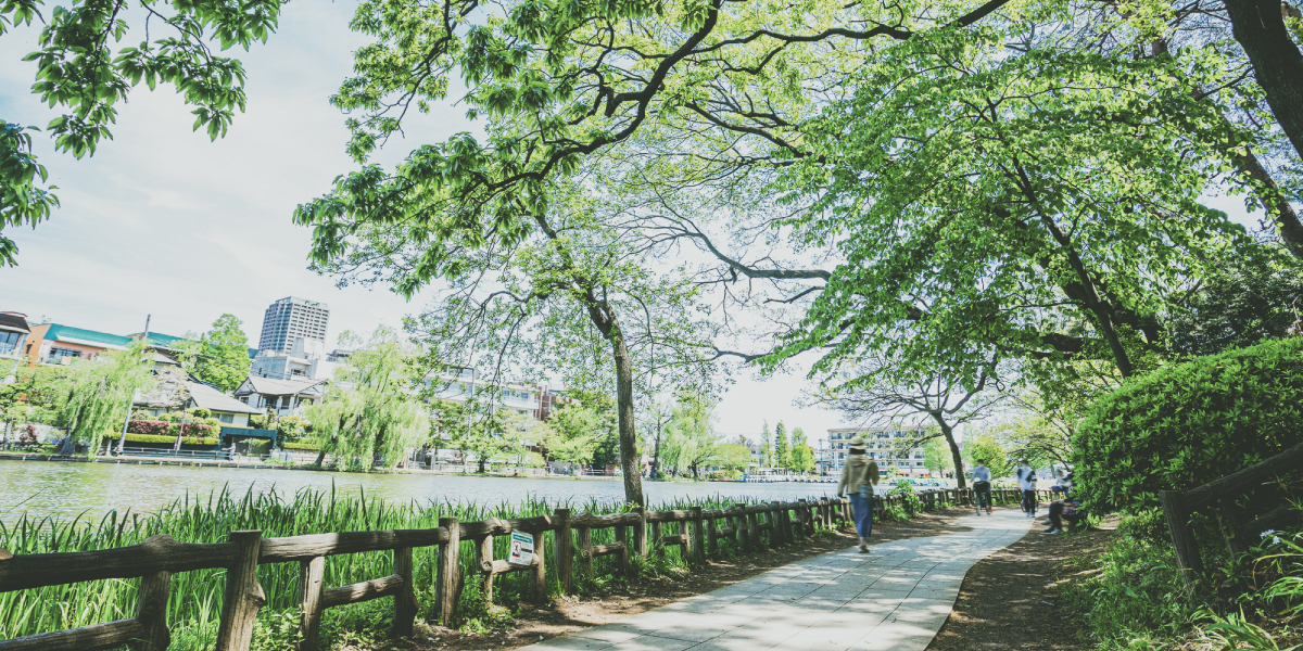 ロケーション背景
