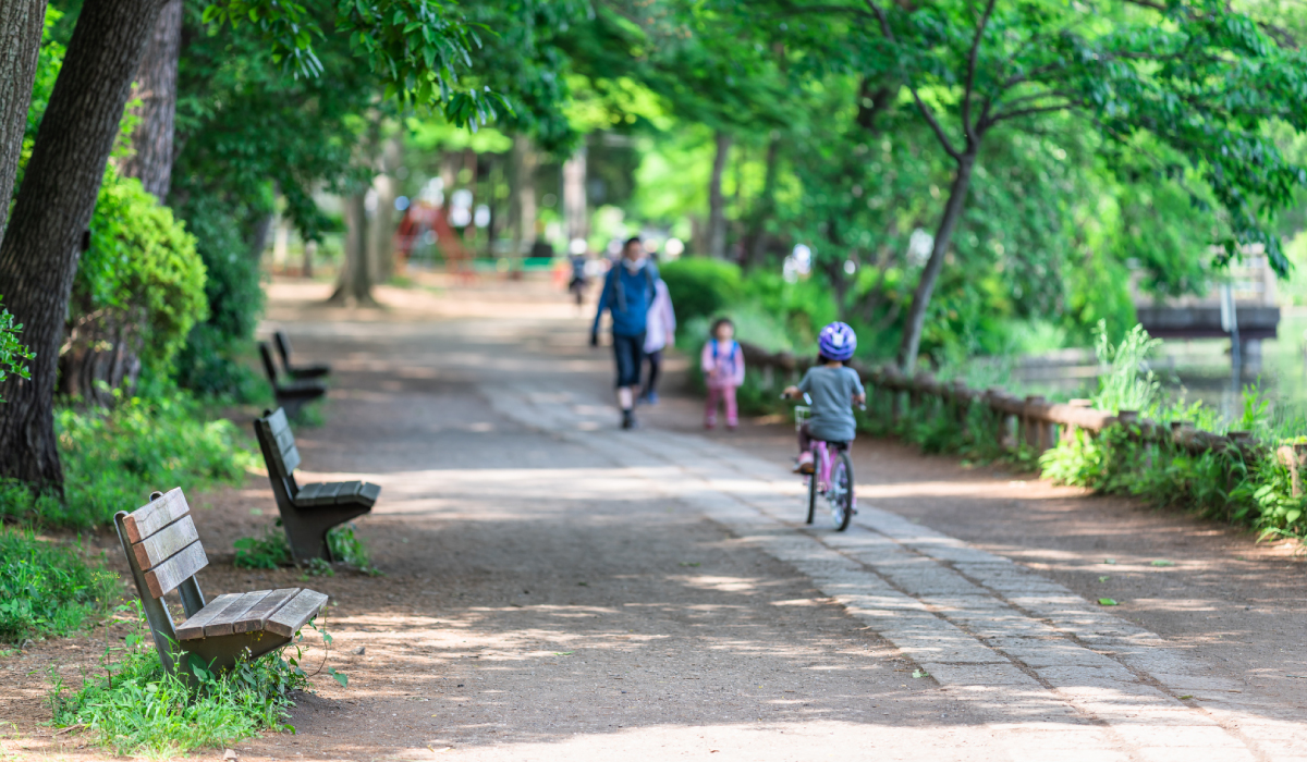 石神井公園背景