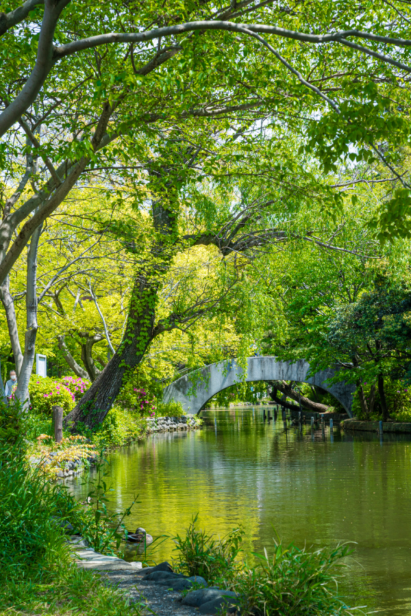 石神井公園_image