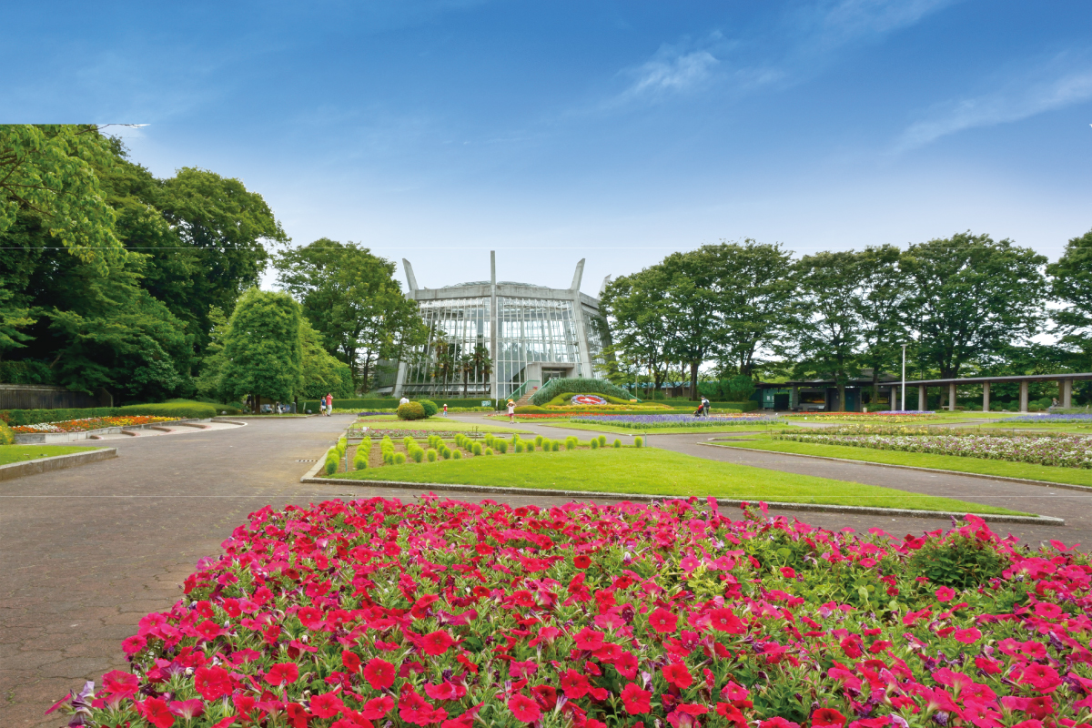 【川口市立グリーンセンター】