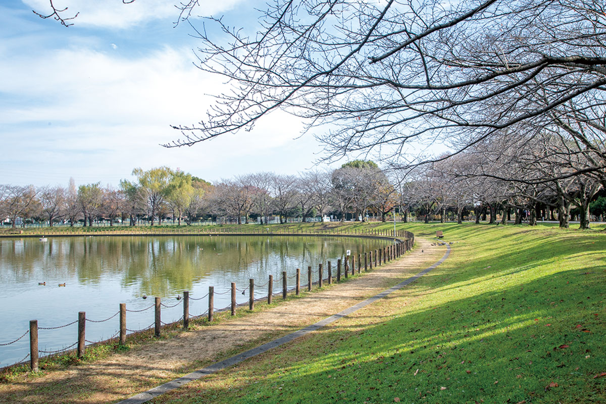【埼玉県 県民健康福祉村】 【埼玉県 県民健康福祉村】