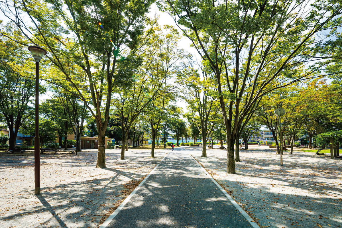 天王台西公園