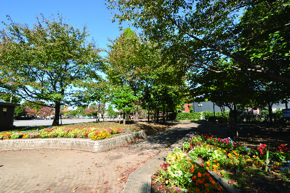 【堀崎中央公園】