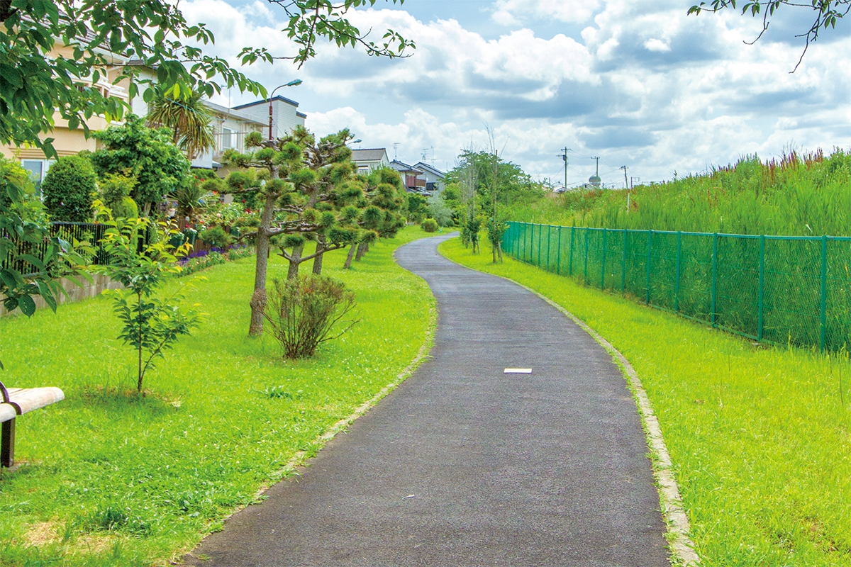手賀沼遊歩道