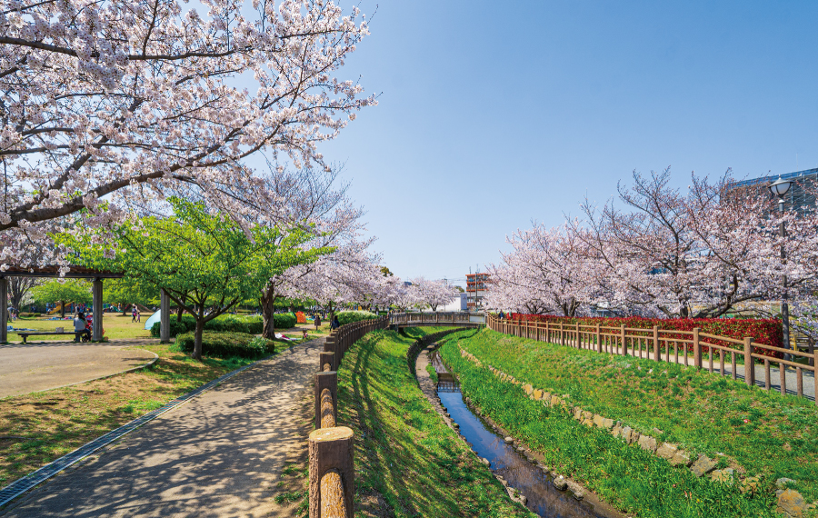 【井沼方公園】