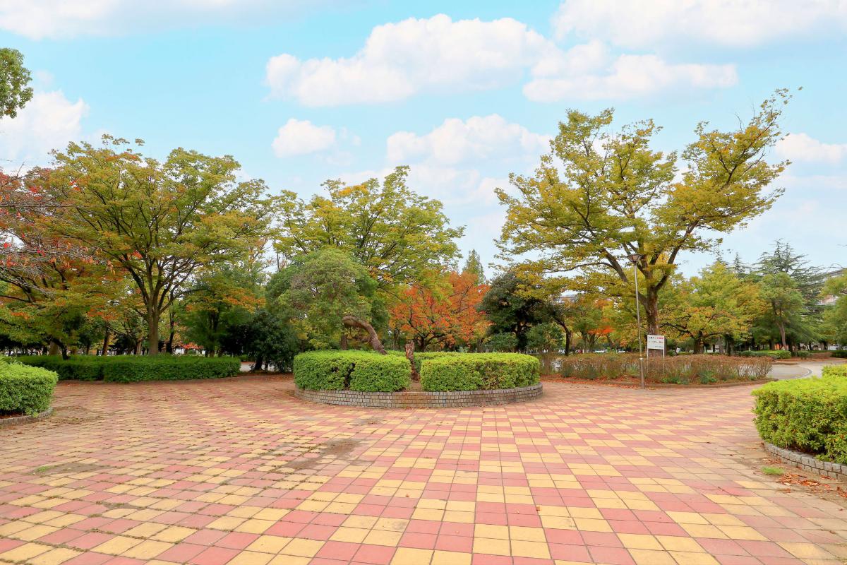 新松戸中央公園