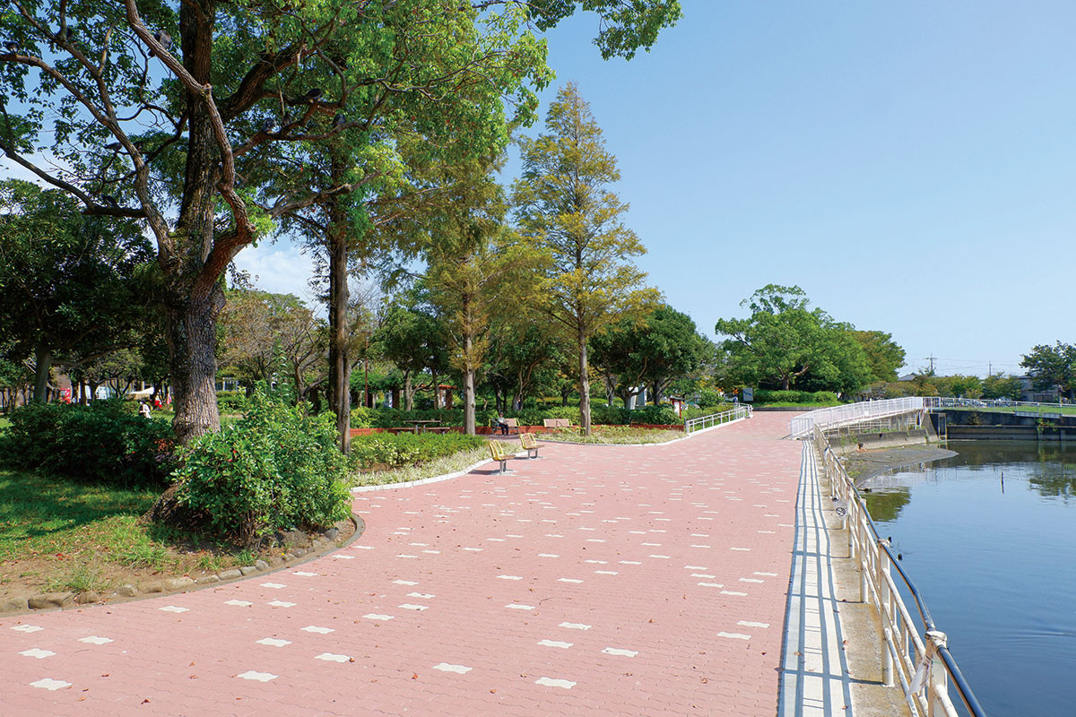 手賀沼遊歩道