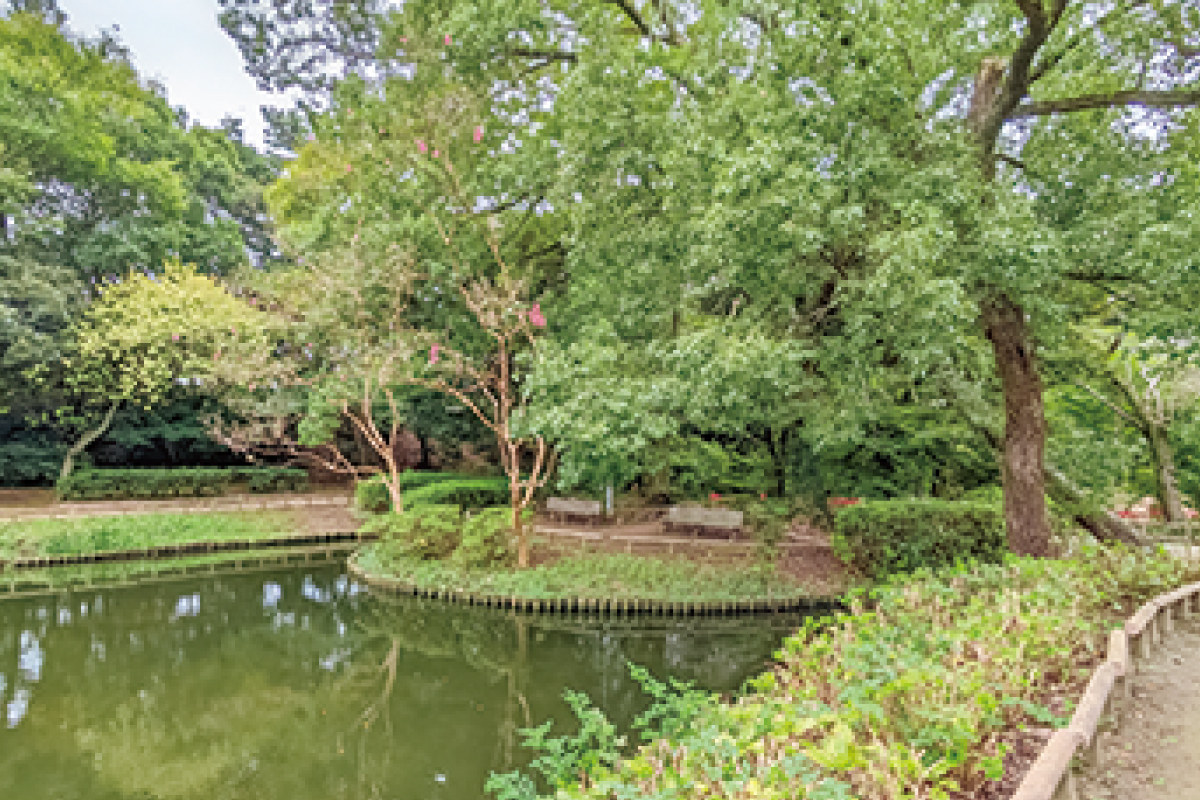 藤崎森林公園