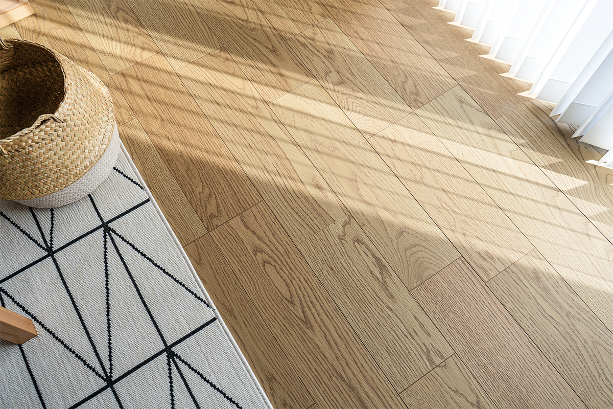 【銘樹モクトーン】