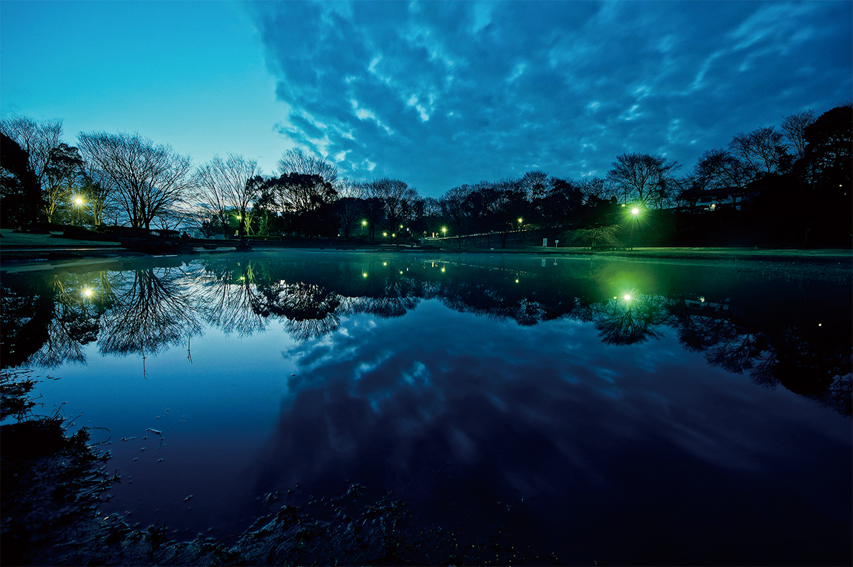 清瀬金山緑地公園