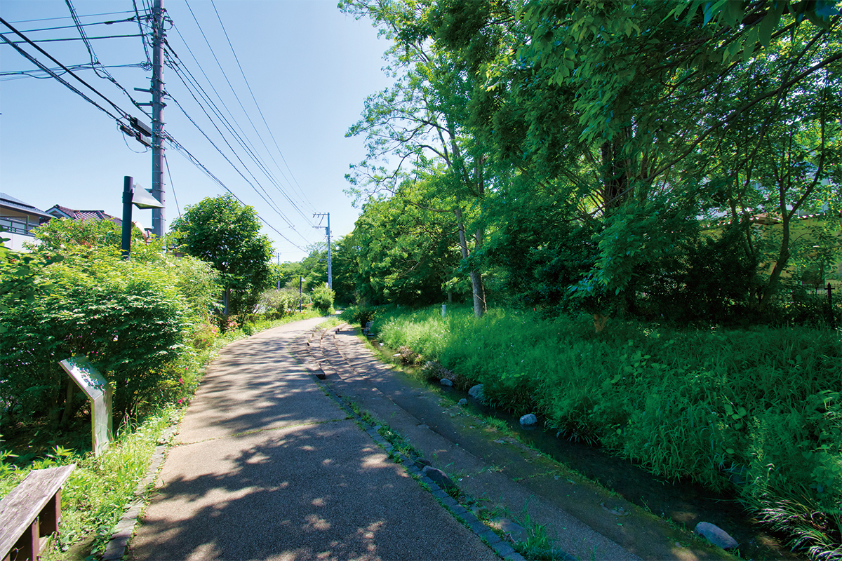 清瀬せせらぎ公園