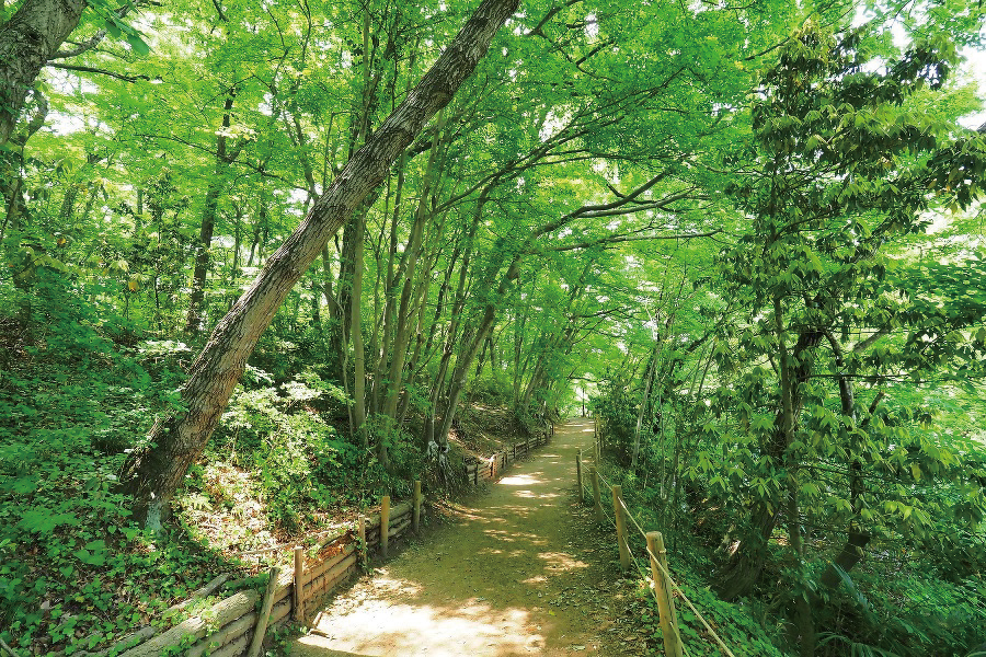 北本自然観察公園
