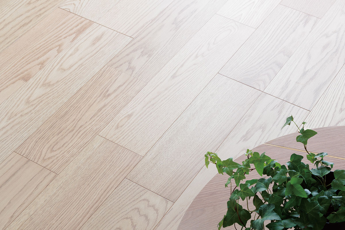 【銘樹モクトーンフロア(1F)】