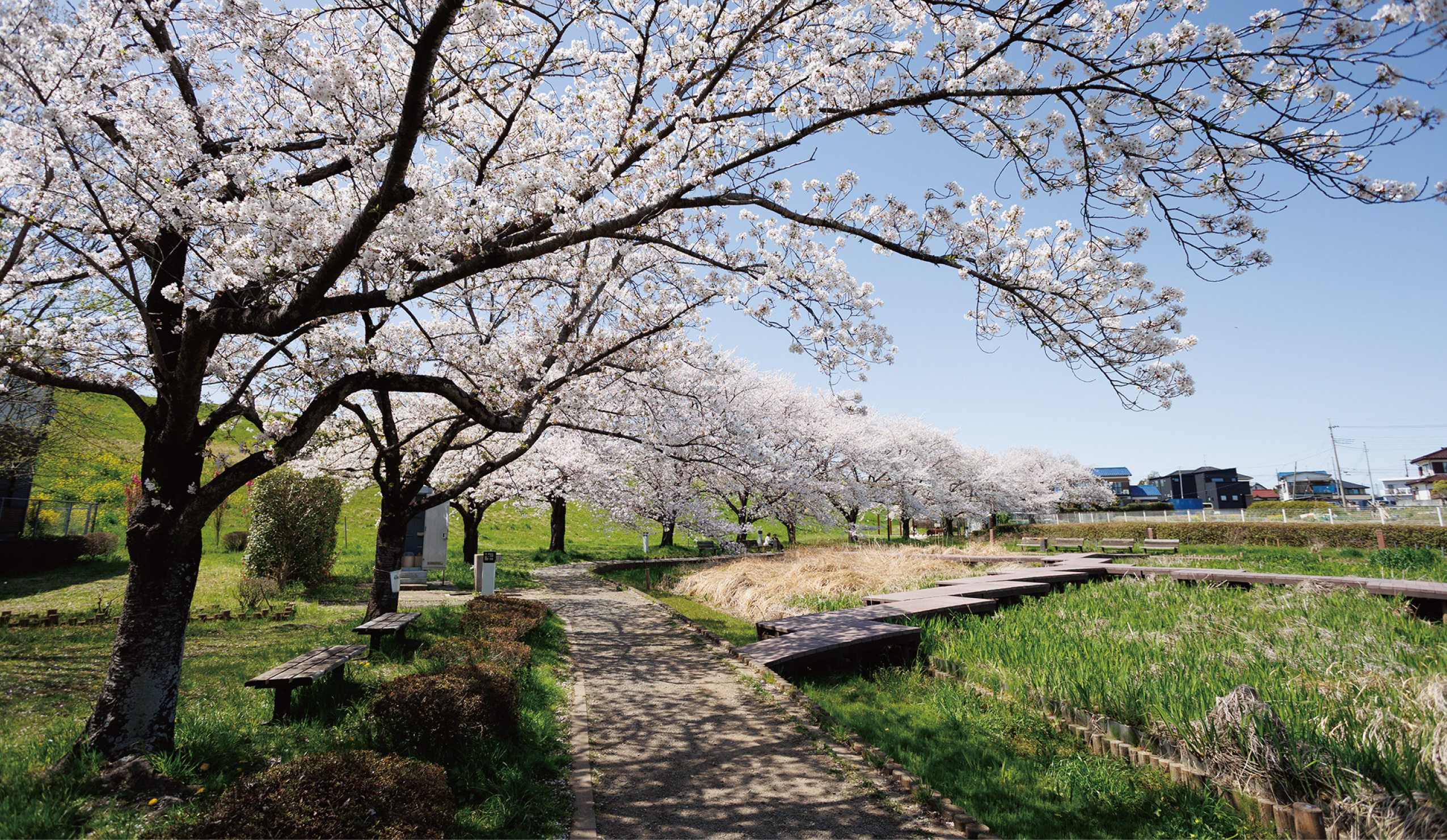 【千貫樋水郷公園】