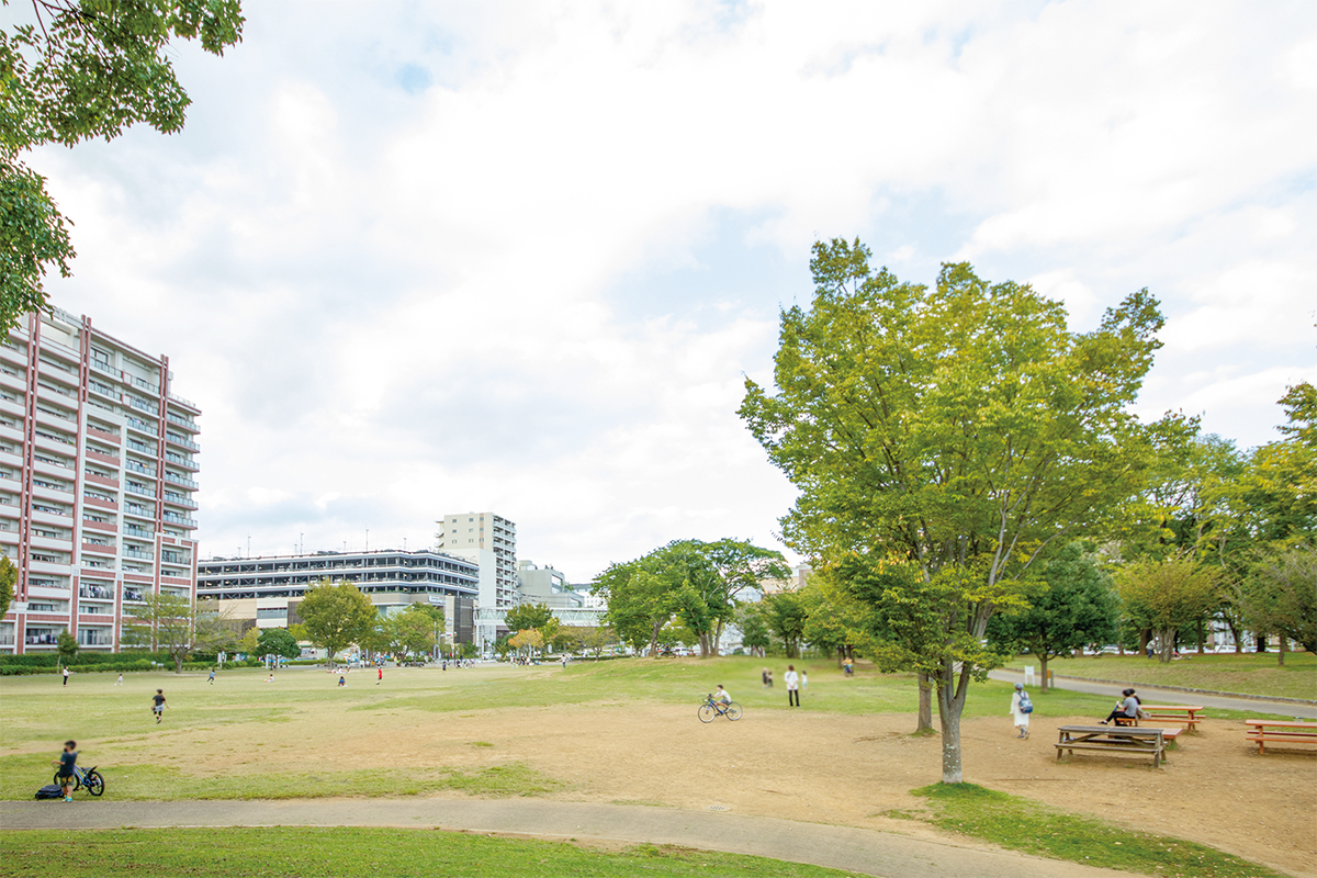 西初石近隣公園(おおたかの森南口公園) 西初石近隣公園(おおたかの森南口公園)