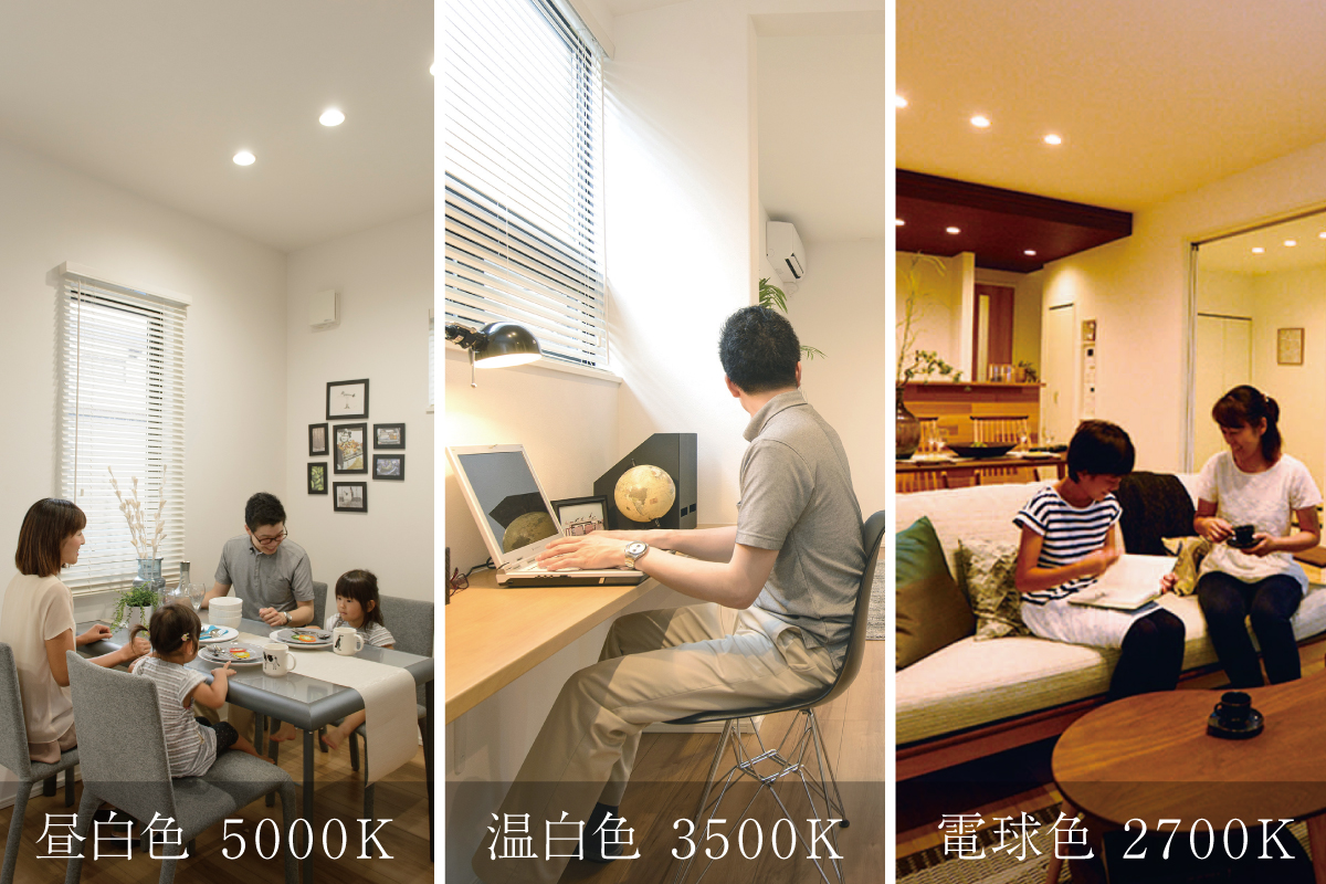 【よくばりダウンライト】