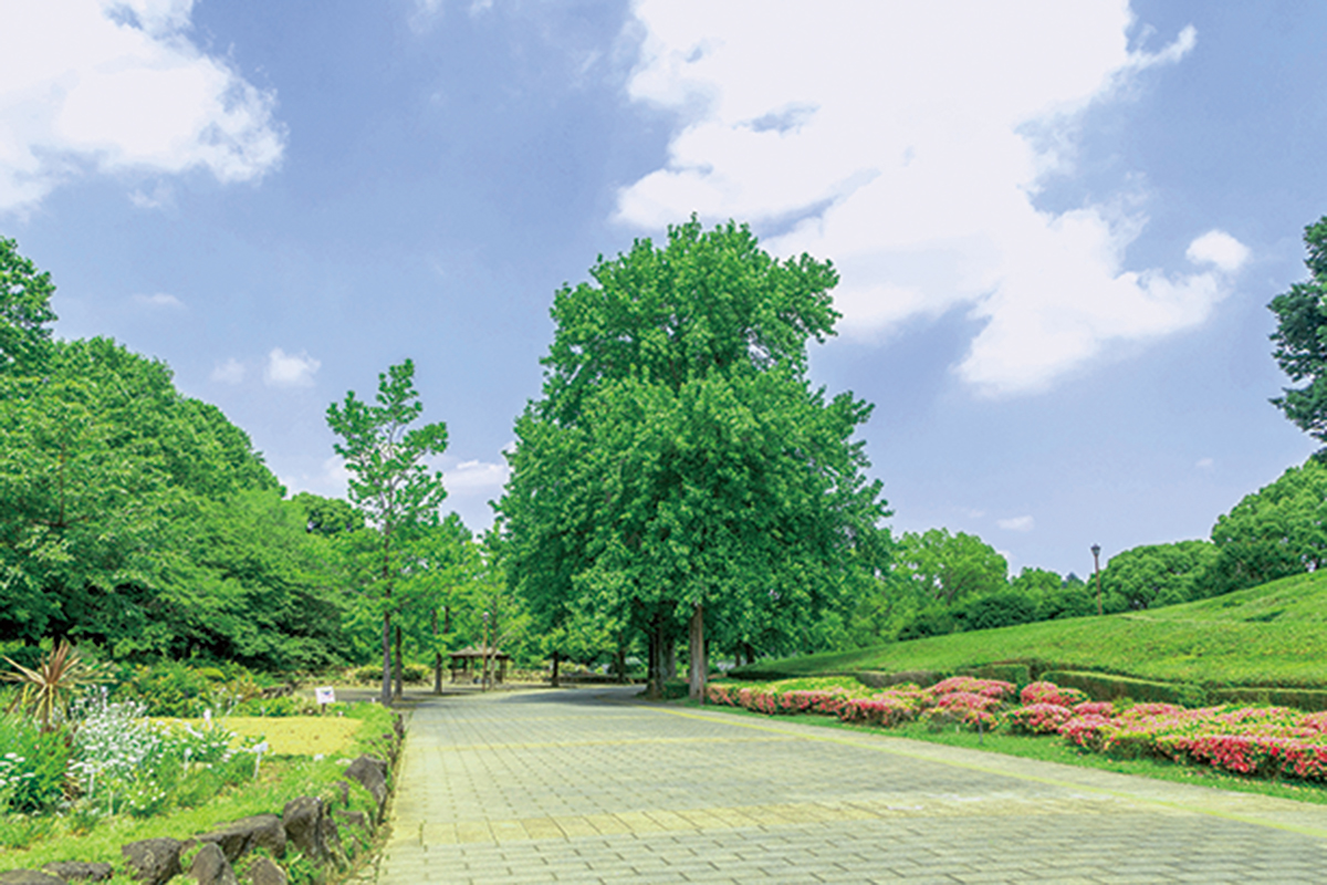 千葉県立柏の葉公園
