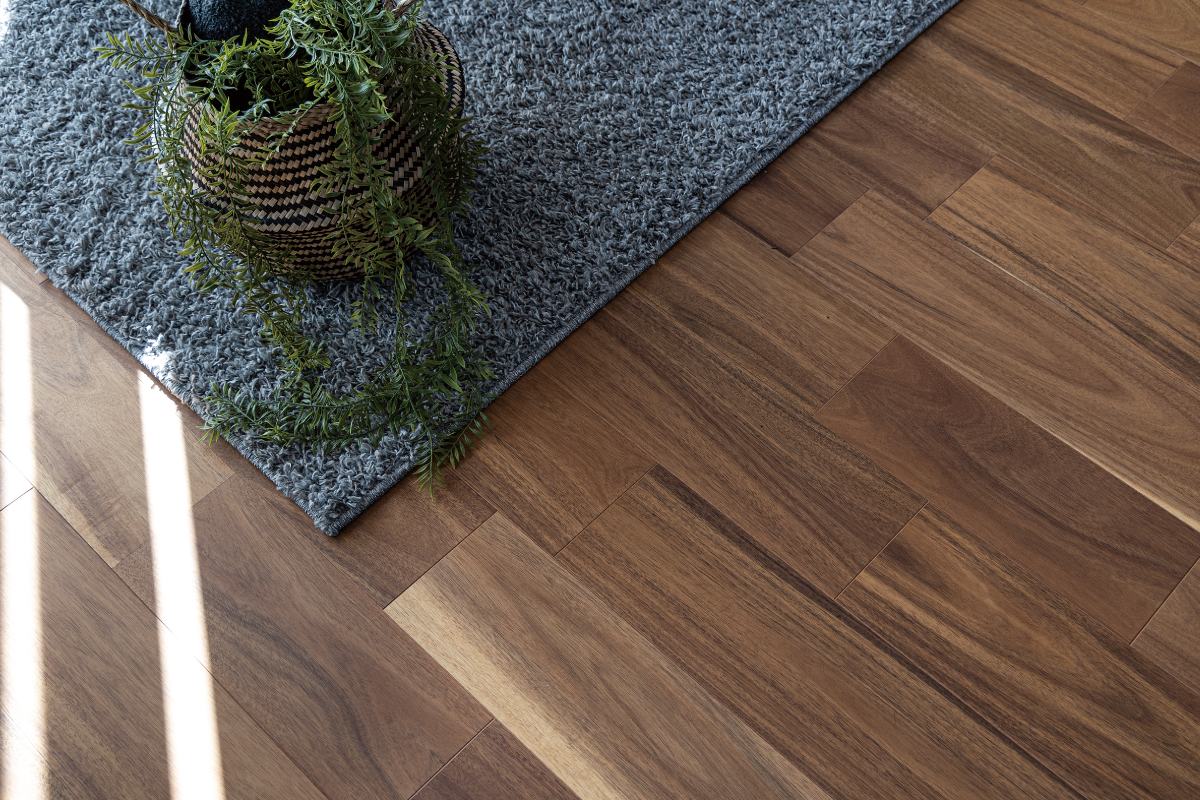 【銘樹モクトーン】