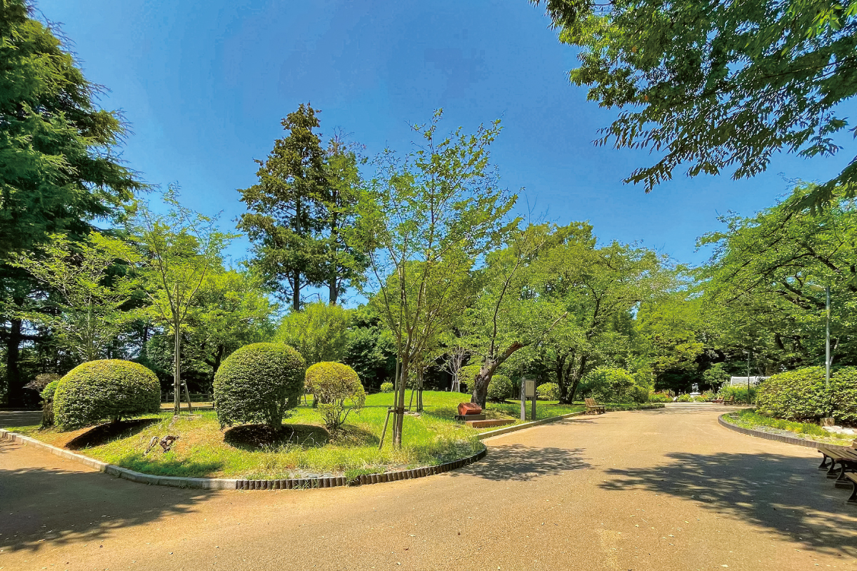 須和田公園