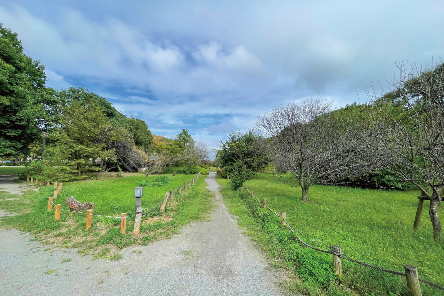 越谷梅林公園 越谷梅林公園