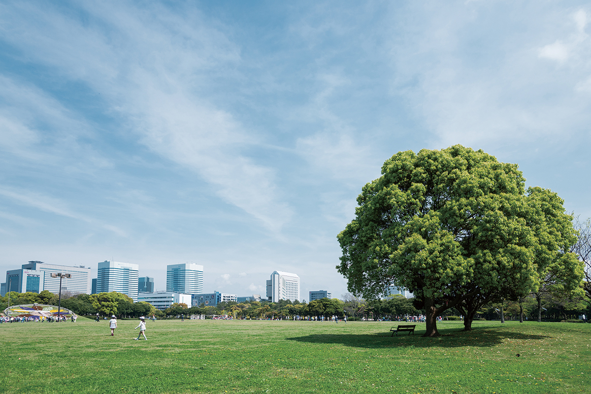 千葉県立幕張海浜公園