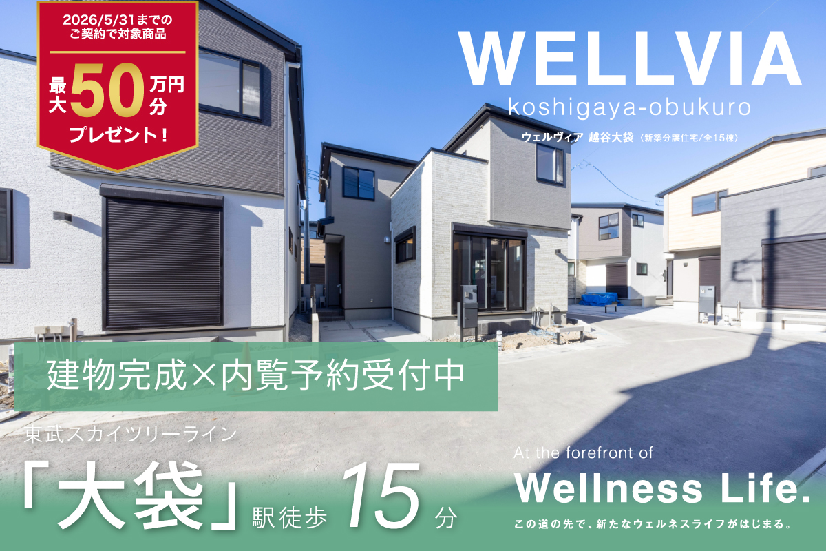 ウェルヴィア越谷大袋