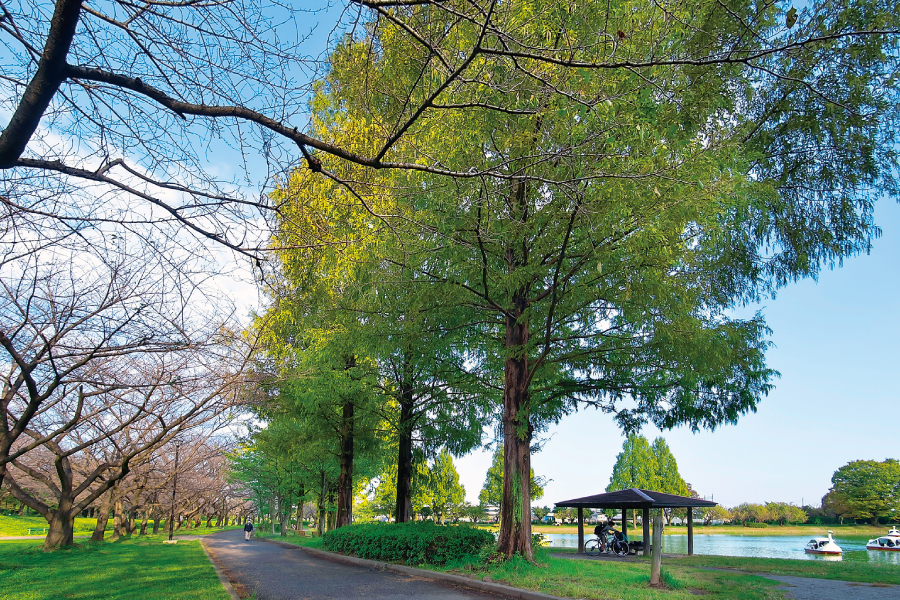 ホットスタッフ川越パーク（川越公園）