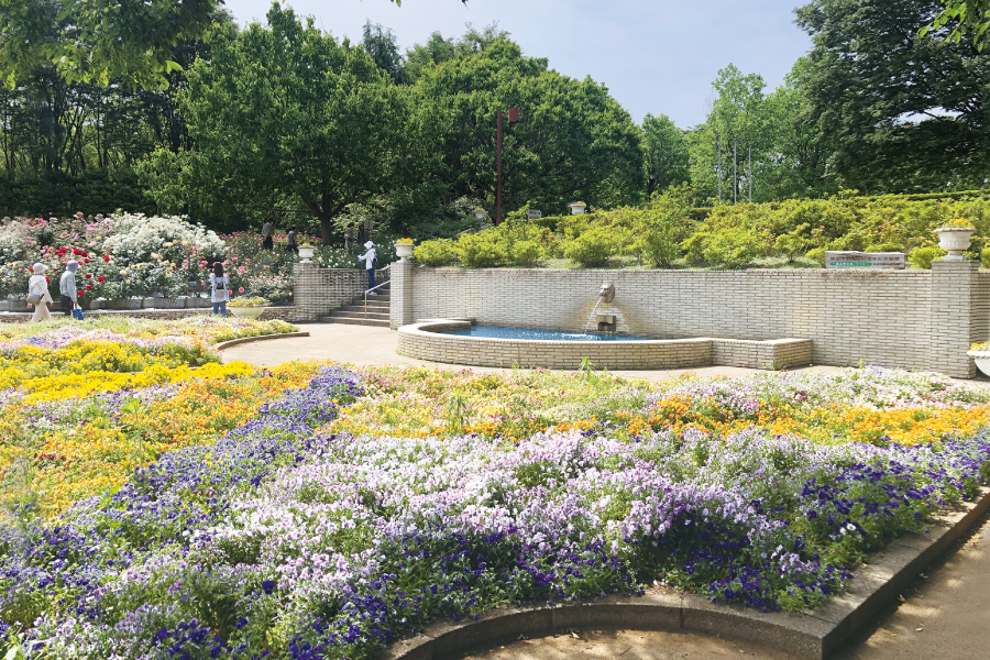 智光山公園