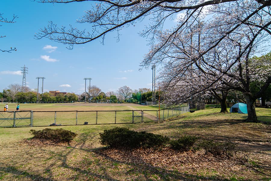 青葉公園