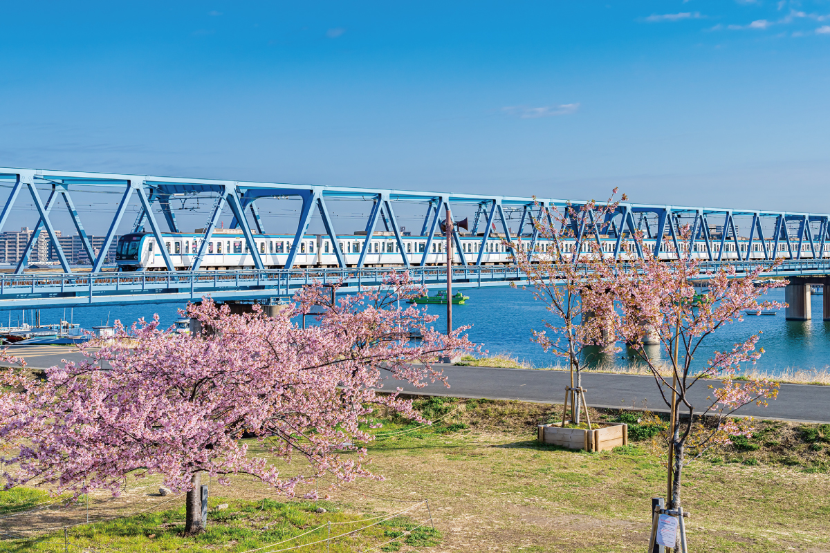 妙典公園 妙典公園