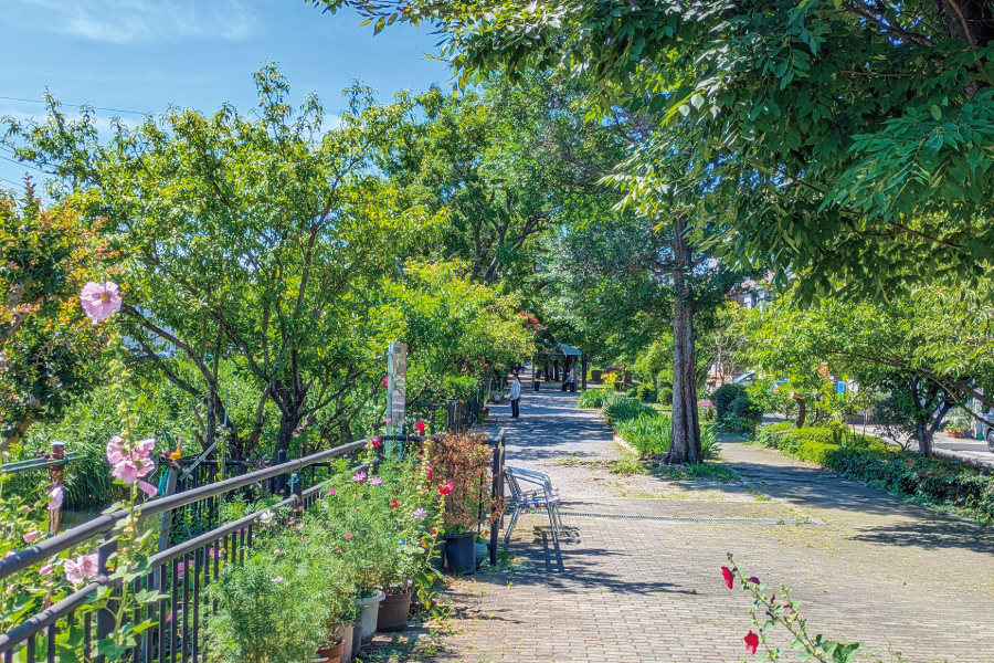 谷古田河畔緑道