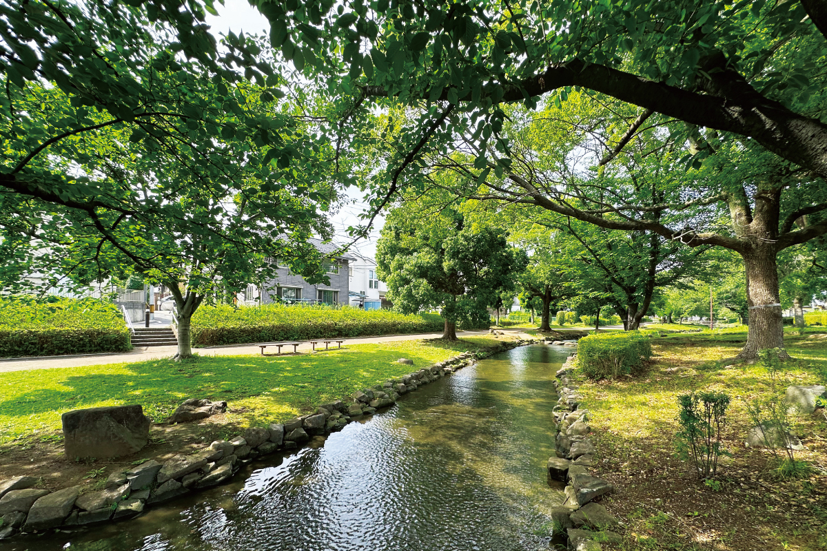 東大宮親水公園