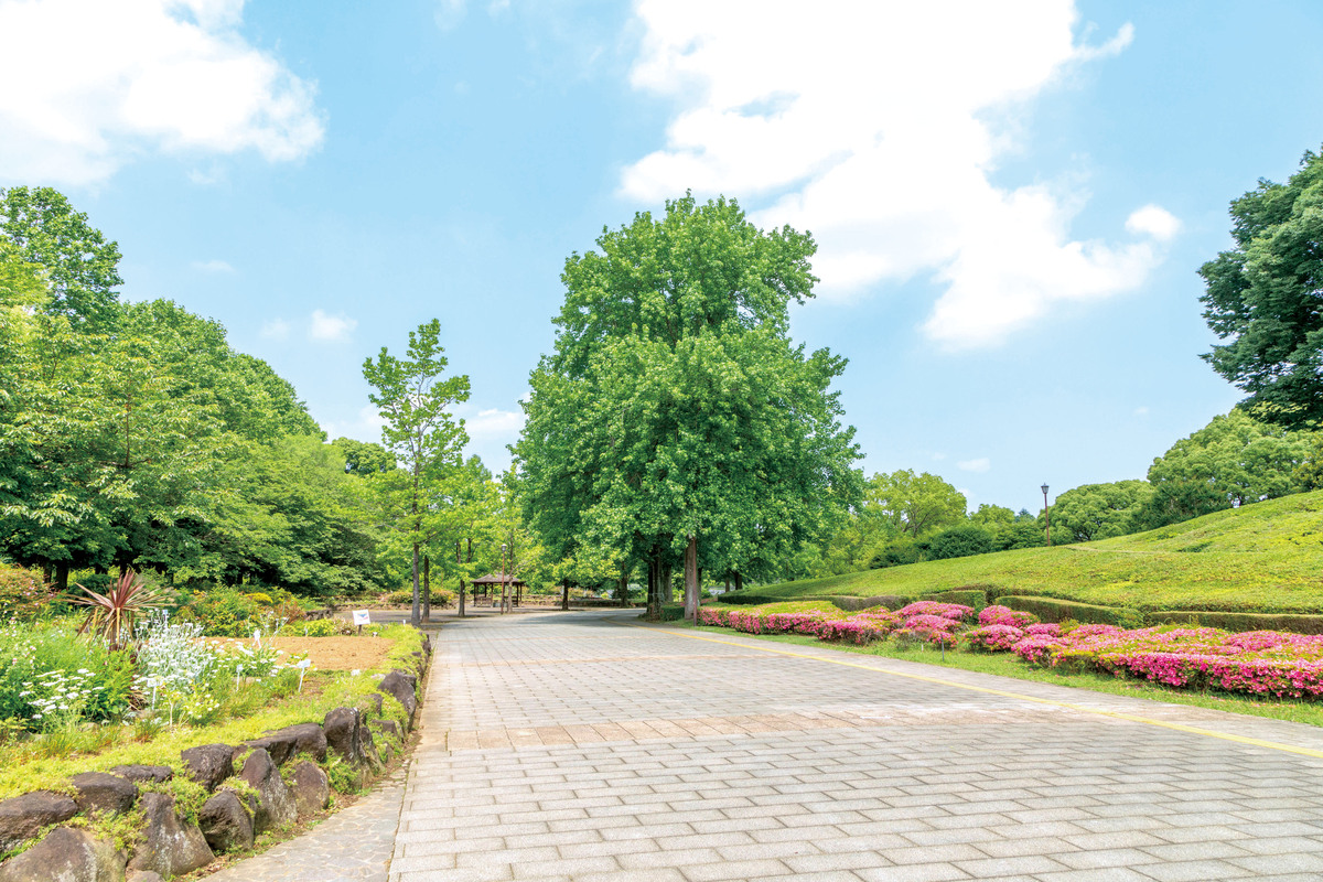 千葉県立柏の葉公園 千葉県立柏の葉公園
