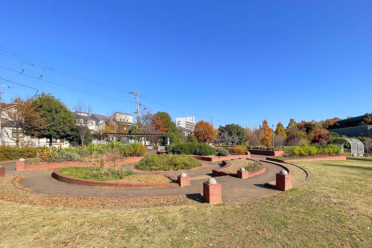 柏リフレッシュ公園 柏リフレッシュ公園