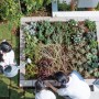 リーズン 市川 日和の杜