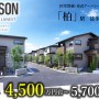 【予告広告】リーズン柏 ルネスト
