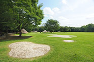 水子貝塚公園
